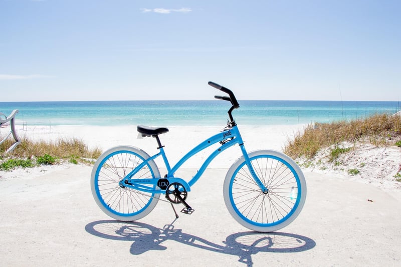 2203703 487827955_1087263756749055_5013615596407190749_n