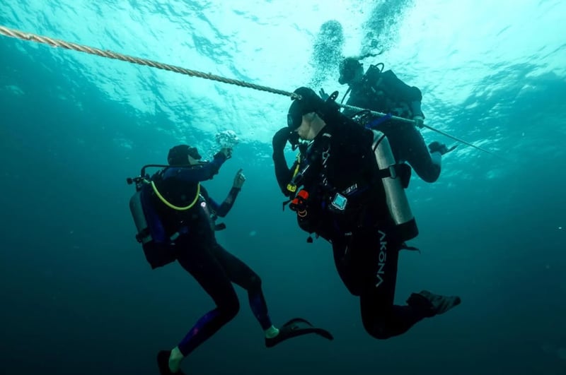 2256732 Scuba Divers Under Water