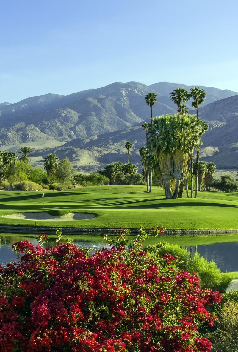 299612 Istock163641603vertical2