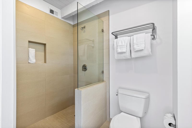 Guest shower