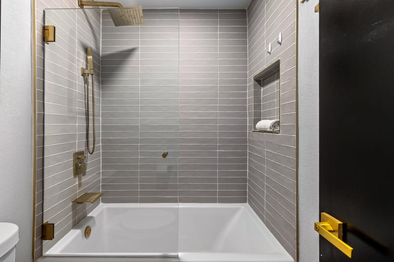 Guest shower and bath