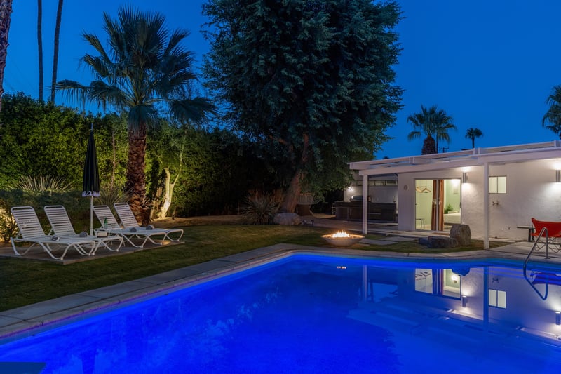 Gorgeous backyard trees