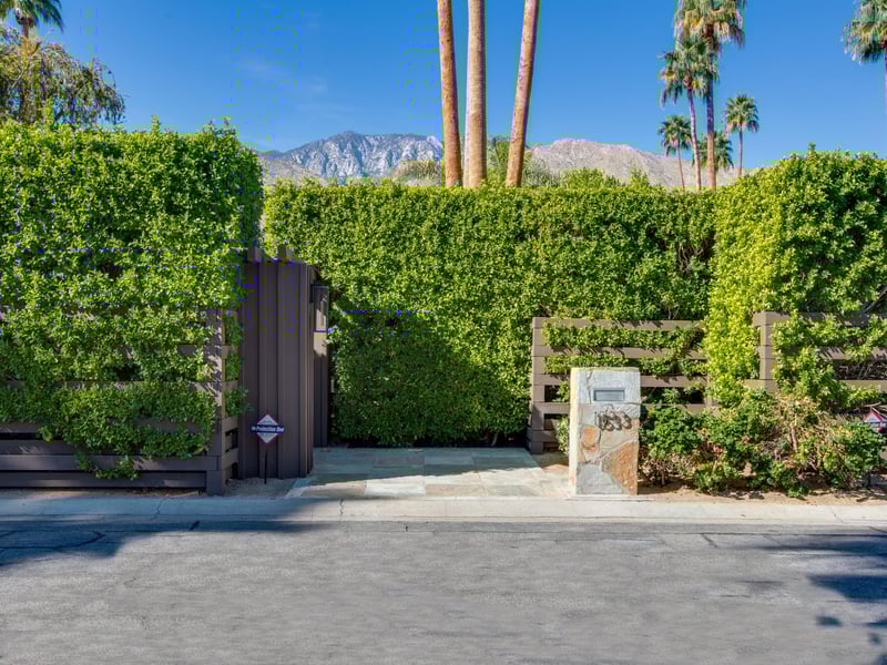 Tall hedges for privacy