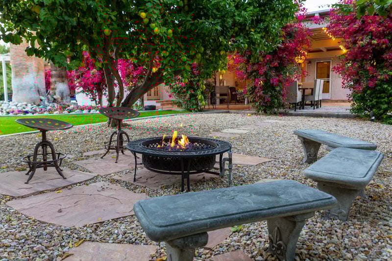 Fruit bearing citrus trees
