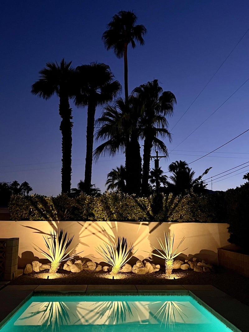 Stunning landscacping