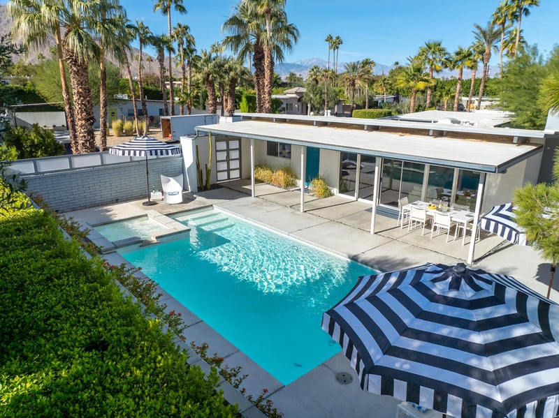 Palm Trees surround the entire yard