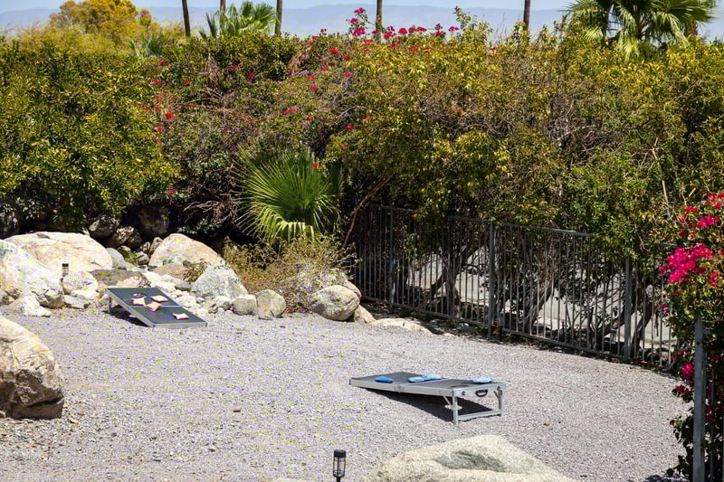 Fun and games in the backyard