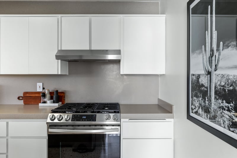 Top of the line kitchen appliances