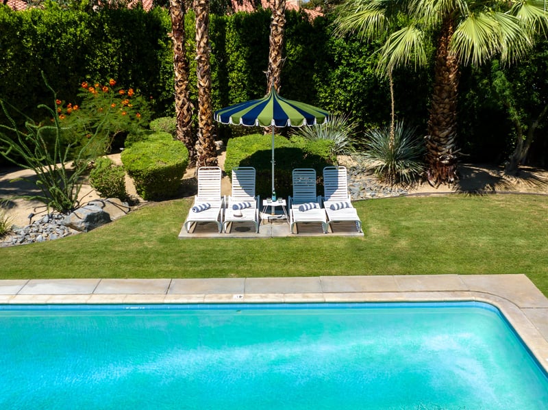 Aerial views of tall privacy hedges