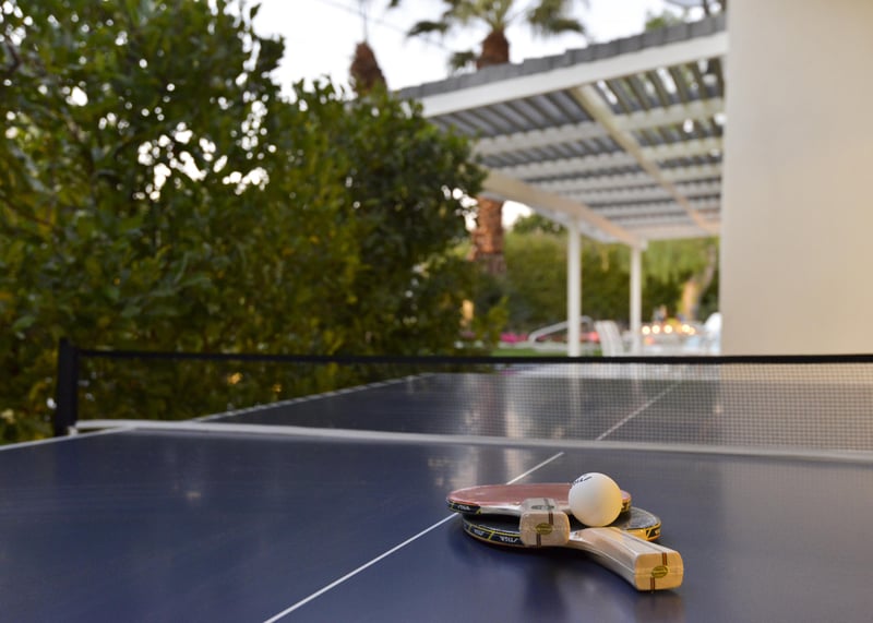 Play a game of ping pong