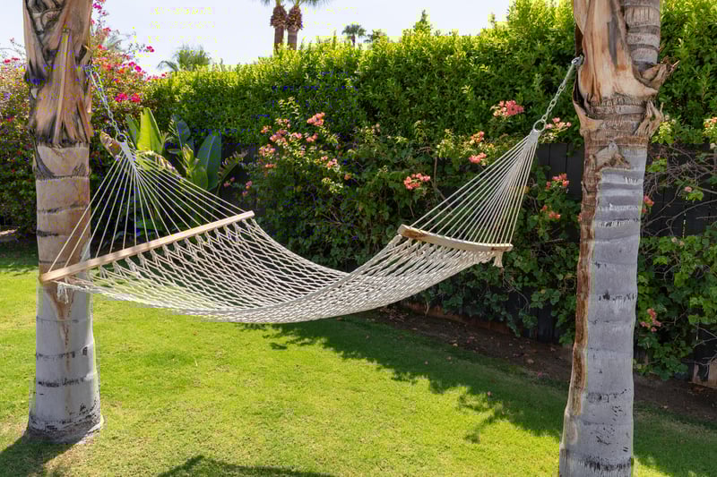 Relax in the Hammock