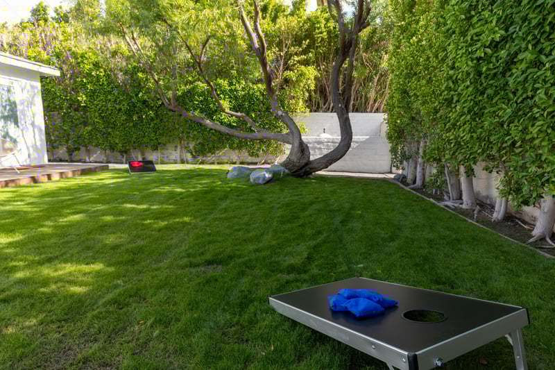 Time for a game of cornhole