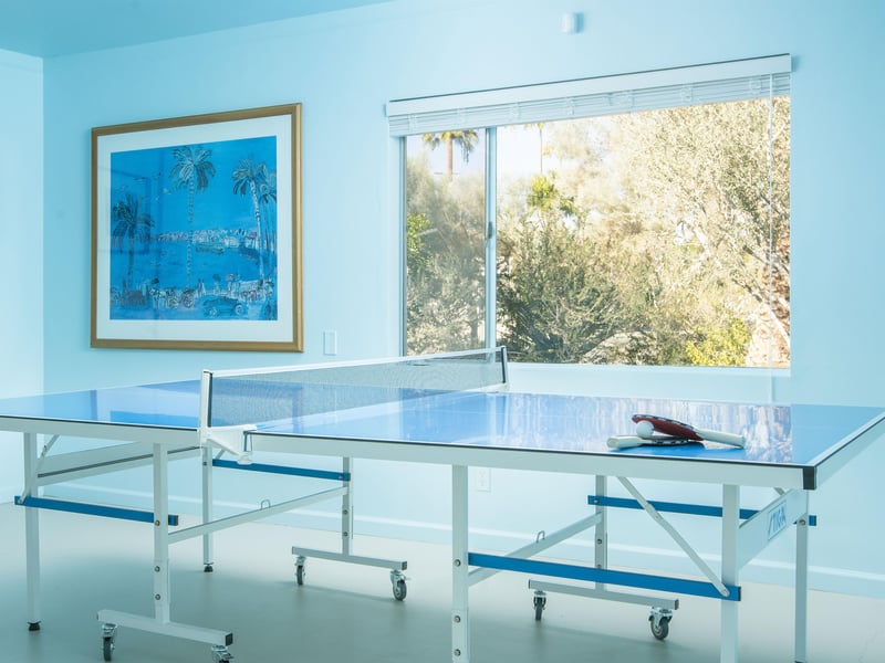 Play a game of ping pong