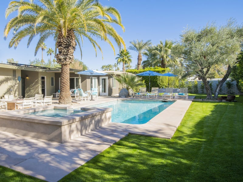 Early morning dip in the pool