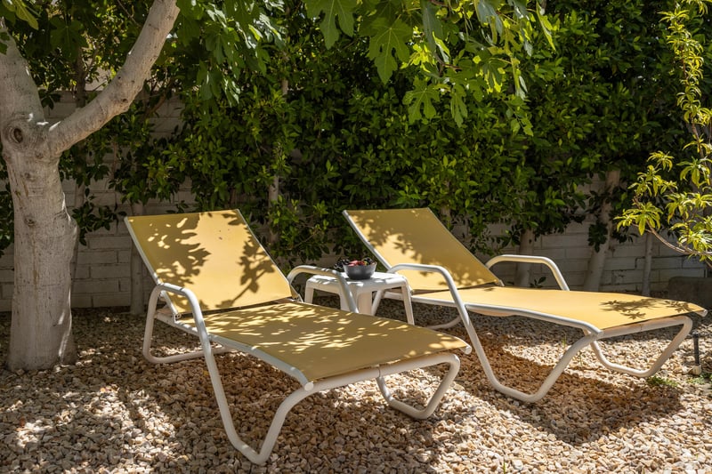 Bask in the warm desert atmosphere