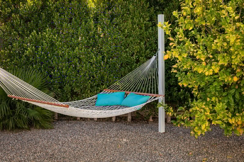 Chill on the hammock