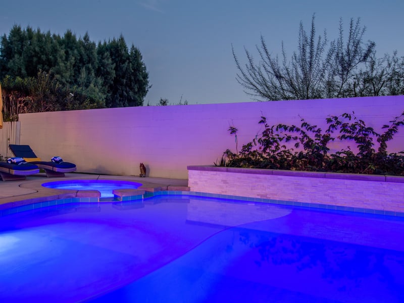 Time for a Nighttime Swim