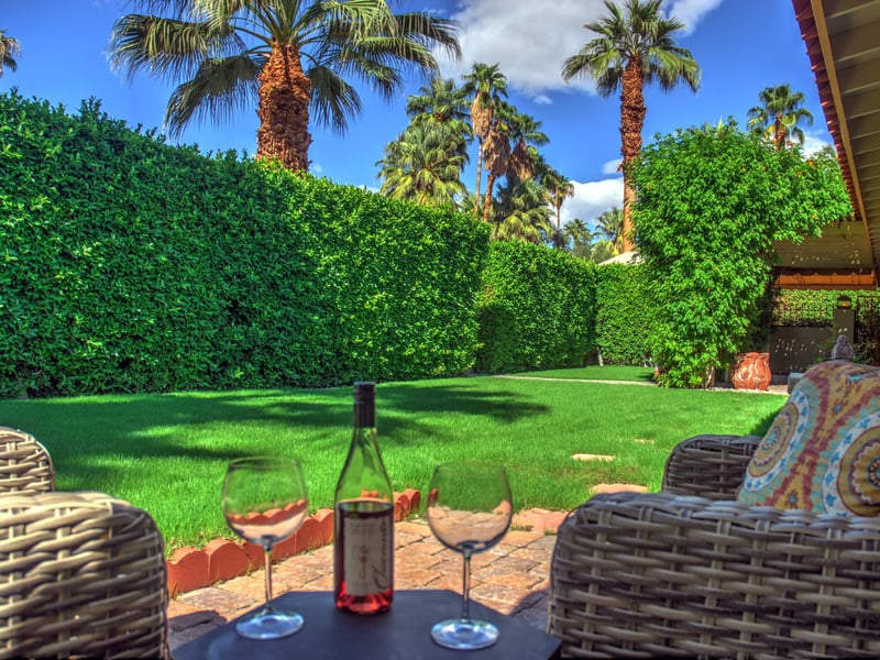 Magnificent Backyard