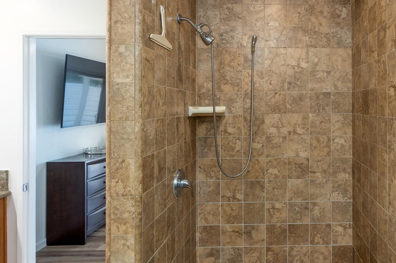 Walkin shower in the ensuite bath