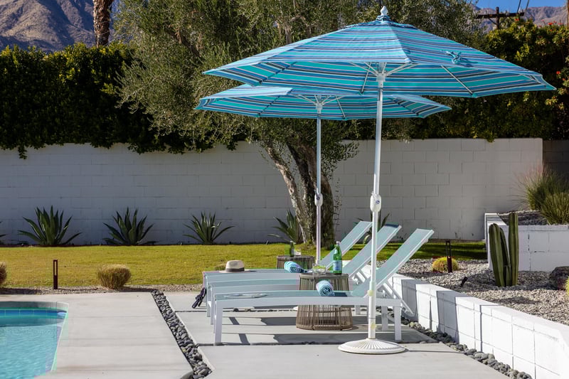 Bask in the warm sunshine