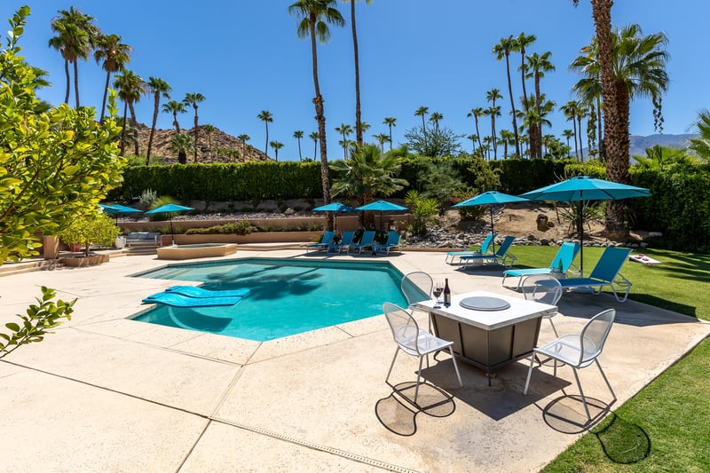 Palm tree studded landscape