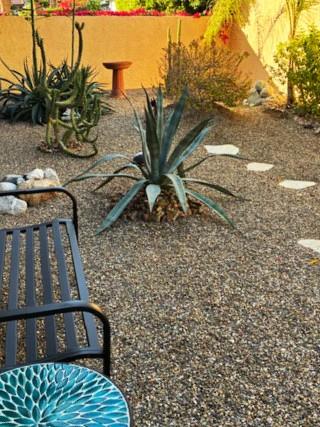 Your private desert oasis awaits with droughtresistant succulents and agave creating a peaceful gravel garden perfect for morning coffee.