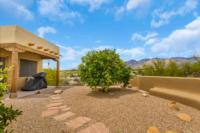 side yard with citrus trees