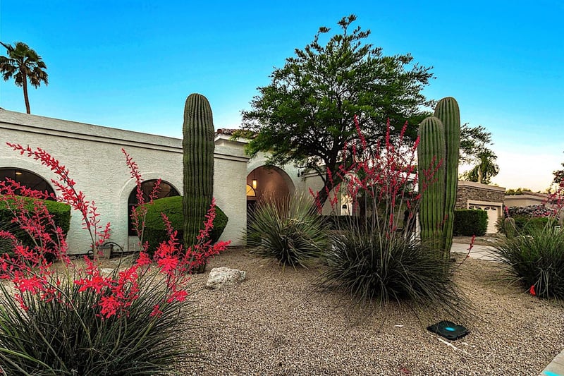 Beautiful desert landscaping