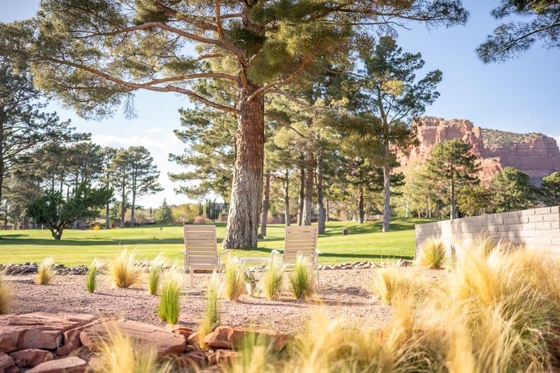 More Seating In Back Yard