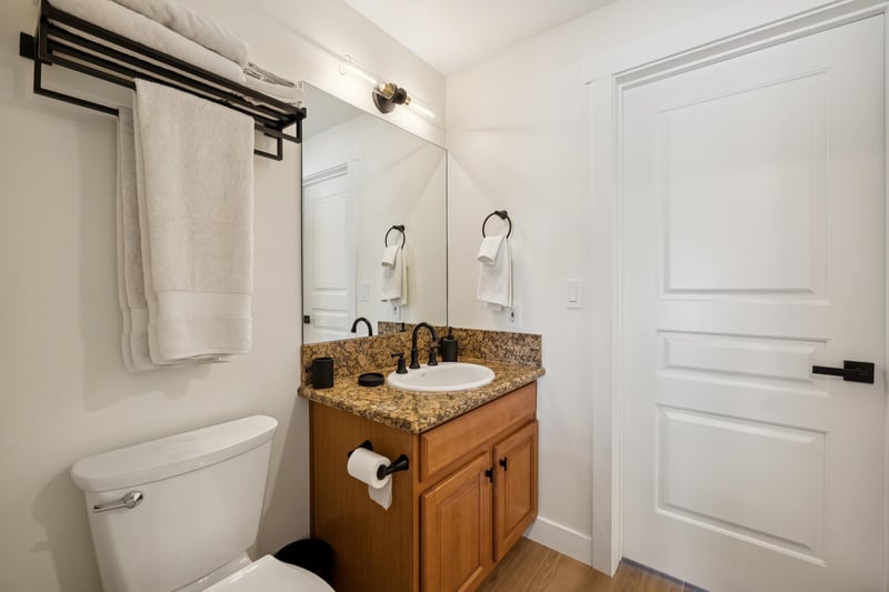 Downstairs guest bathroom