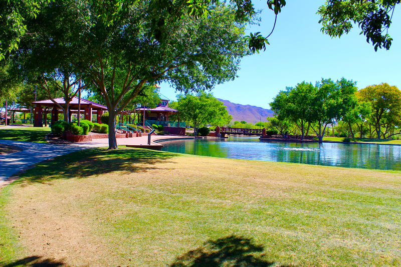 Go fishing at the lake