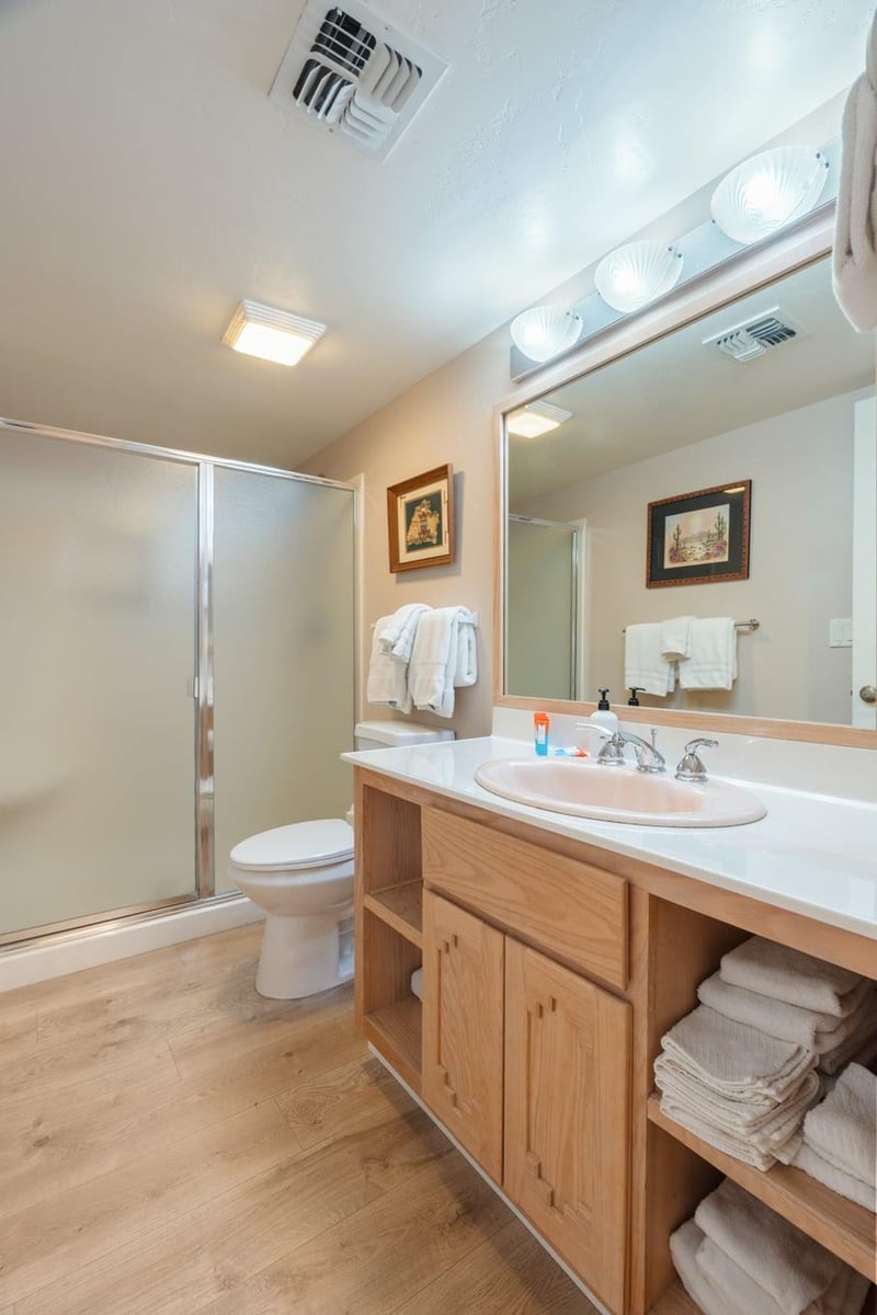 Downstairs Guest Bathroom