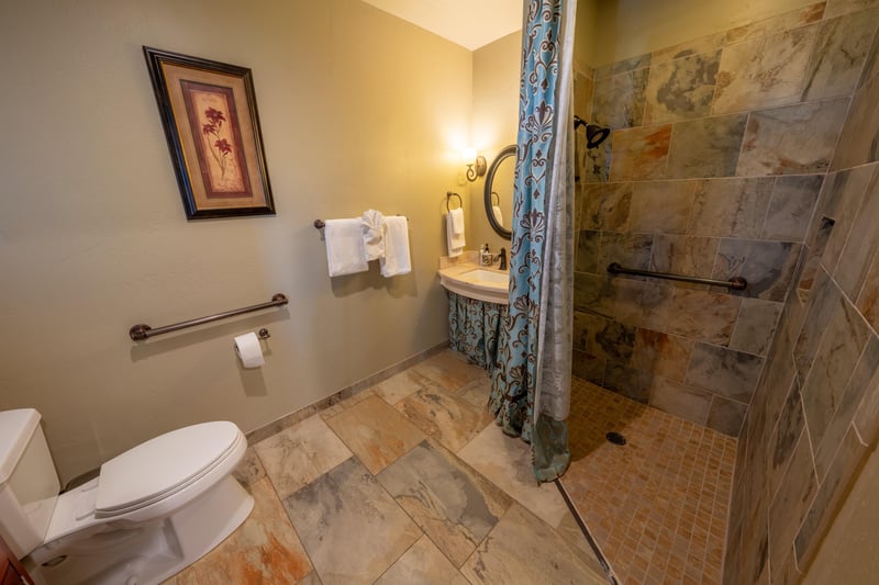 ADA Bathroom With Roll In Shower And Sink