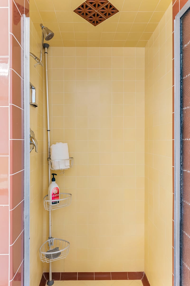 Guest shower