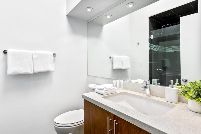 Guest bathroom