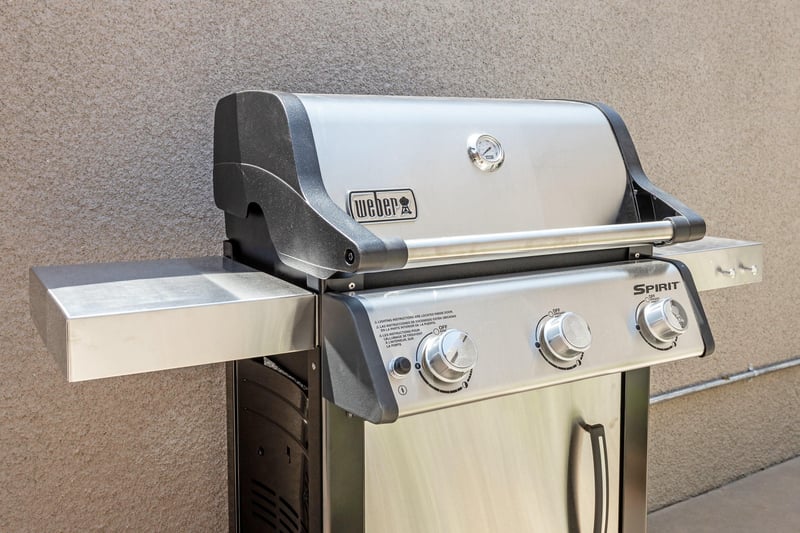 Prepare wonderful meals on the barbecue