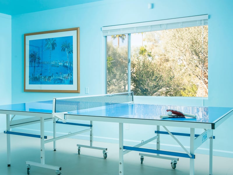 Play a game of ping pong