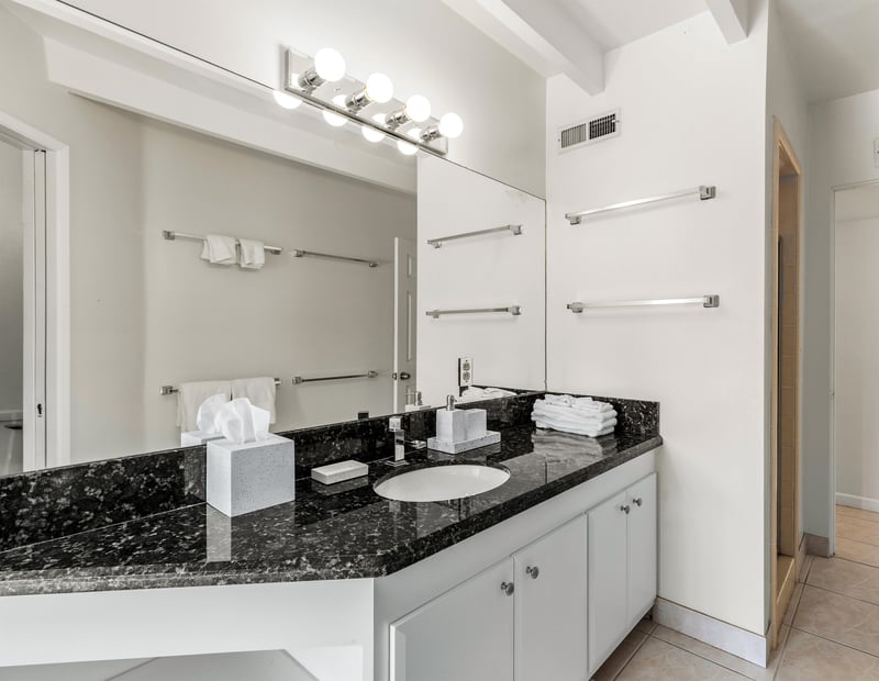 Guest bathroom