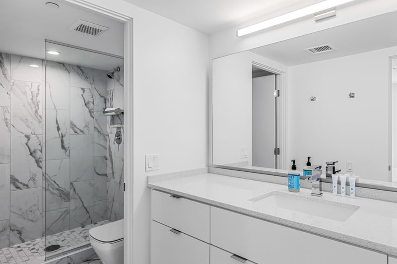 Guest bathroom
