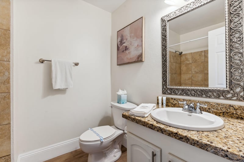 Guest Bathroom
