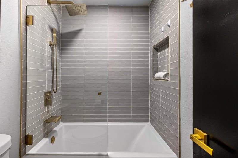 Guest shower and bath