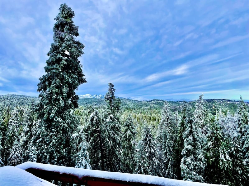 Beautiful, expansive deck with mountain  treetop views, outdoor dining, and BBQ.