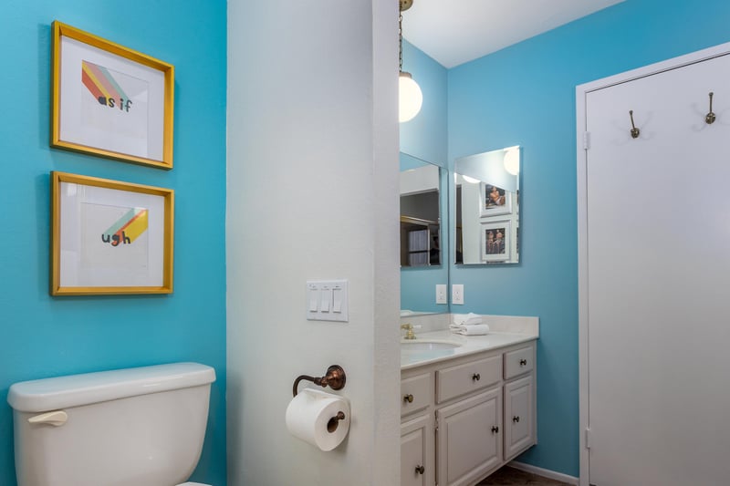 Gorgeous guest bath