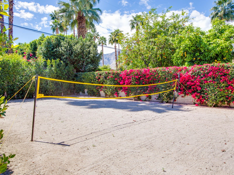 A round of volleyball, anyone