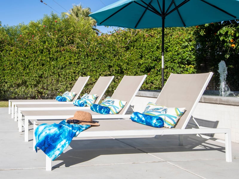 Lounge in the Sunshine
