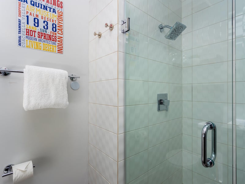 Guest Shower