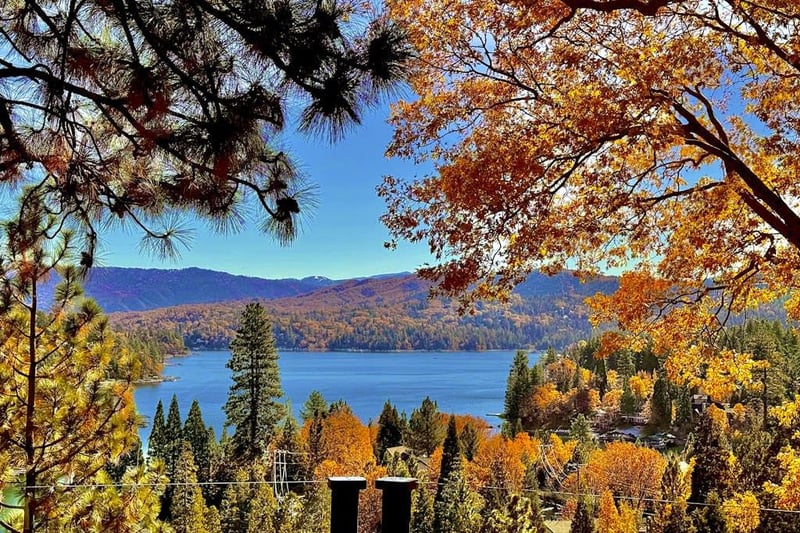 604780