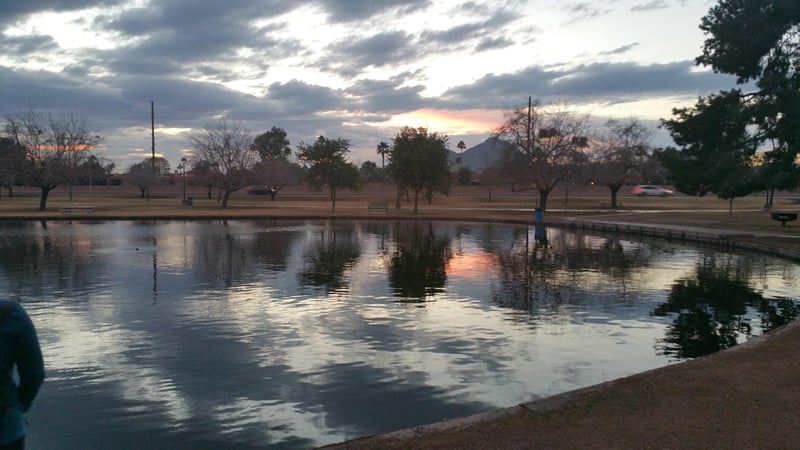 Near Huge duck park