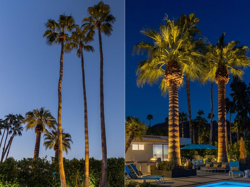 Palm Springs vibes