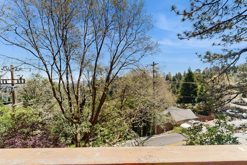 Gorgeous treetop views.